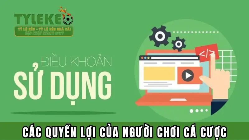 Các quyền lợi của người chơi cá cược khi tham gia web Tylekeo