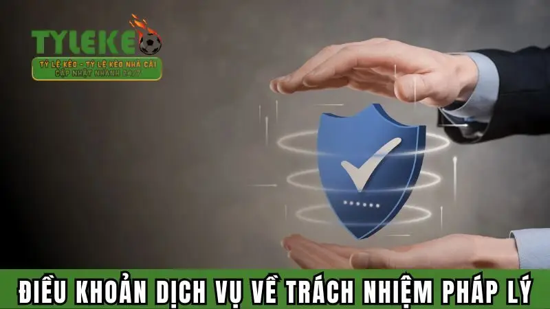 Một số điều khoản dịch vụ về trách nhiệm pháp lý của trang Tylekeo