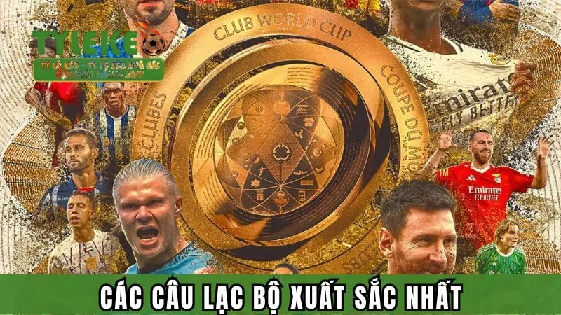 Các câu lạc bộ xuất sắc nhất