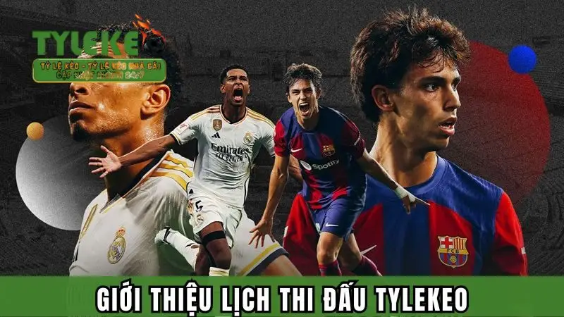 Giới thiệu đôi nét về lịch đấu Tỷ lệ kèo