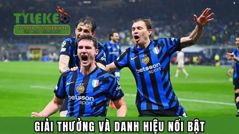 Giải thưởng và danh hiệu nổi bật của đội bóng