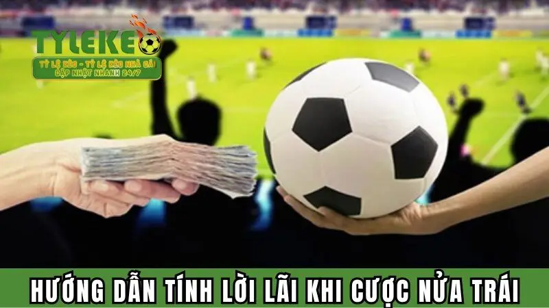 Hướng dẫn tính lời lãi khi cược nửa trái